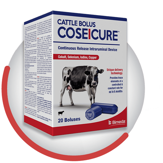 coseicure