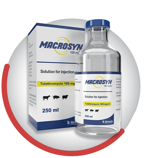 macrosyn